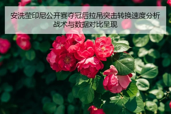 安洗莹印尼公开赛夺冠后拉吊突击转换速度分析战术与数据对比呈现
