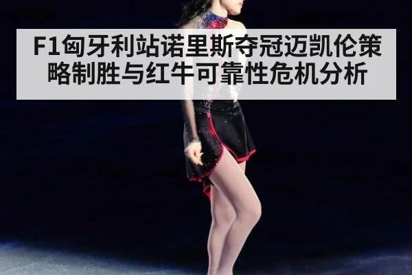 F1匈牙利站诺里斯夺冠迈凯伦策略制胜与红牛可靠性危机分析