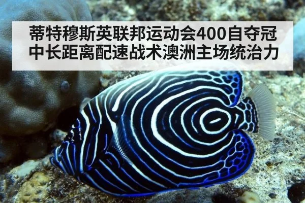 蒂特穆斯英联邦运动会400自夺冠 中长距离配速战术澳洲主场统治力